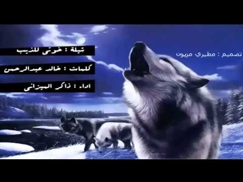 شيلة خوتي للذيب اداء ذاكر الميزاني