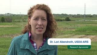 When Water Quality Goals Compete