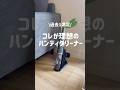 【進化して登場】過去1ハイパワーハンディクリーナー　家でも車内でも大活躍！✨