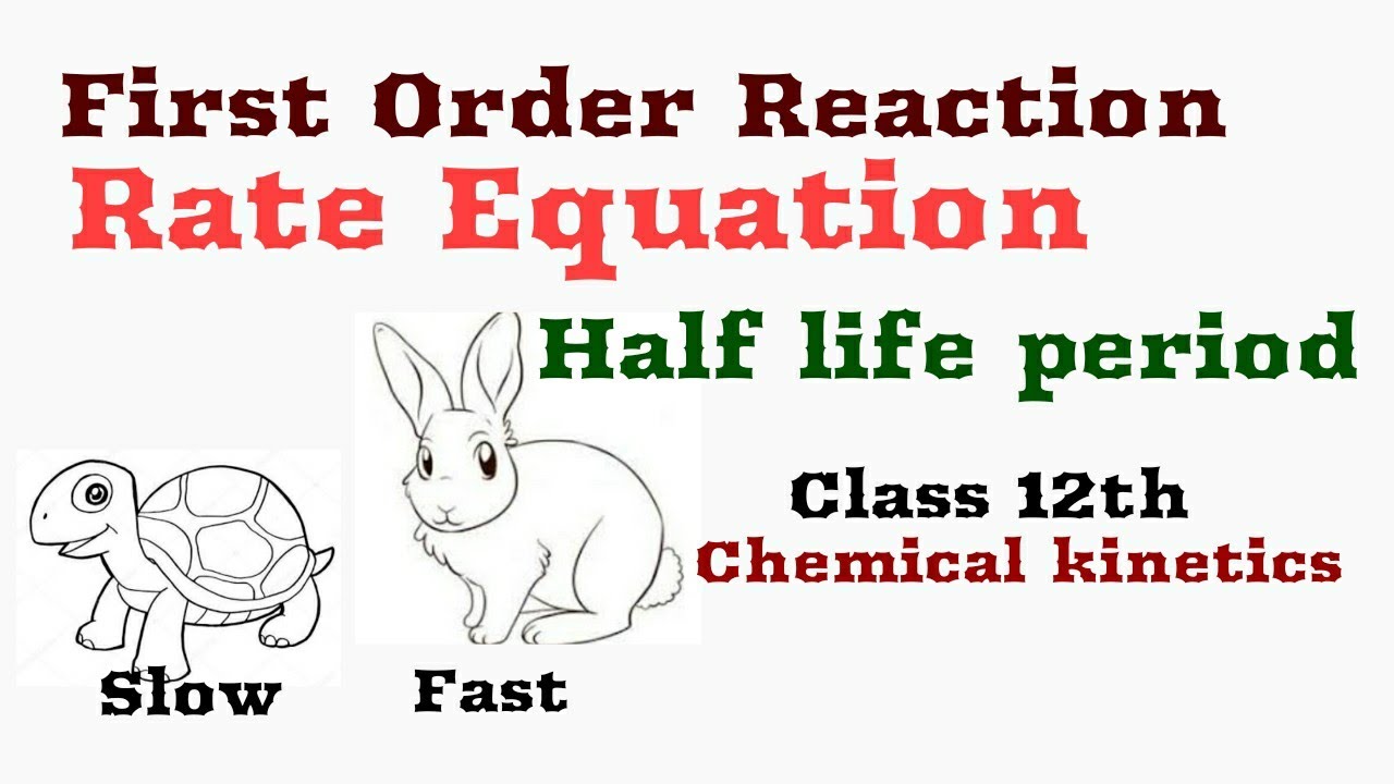 First Order Reaction Rate Equation & Half life period Class 12