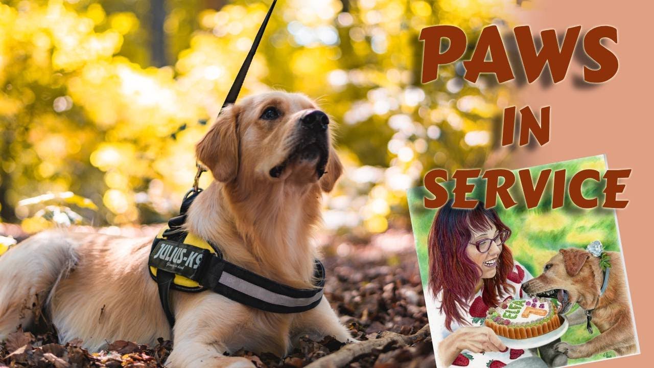 How does service dogs work / dogsatwork working dogs morethanapet
