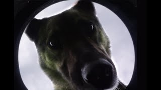 настроить полив с телефона screenshot 3