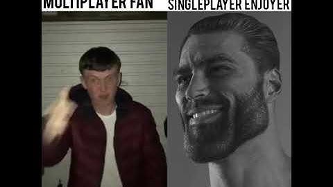 Multiplayer fan vs Singleplayer enjoyer