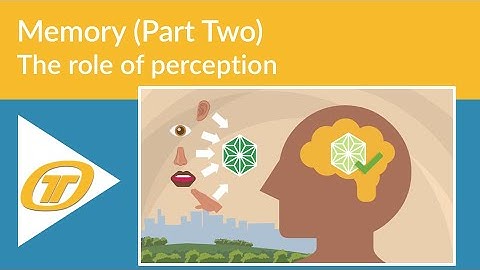 Memory (Part Two) - The role of perception