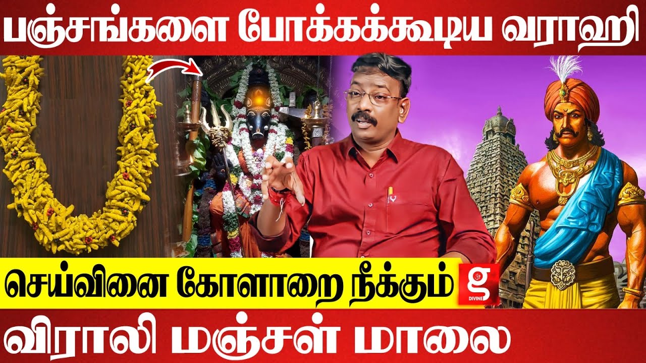 செவ்வாய் தோஷம் இருந்தால் வாராஹியை வழிபடலாமா? |  Seetha Suresh | Varahi amman | விராலி மஞ்சள் மாலை