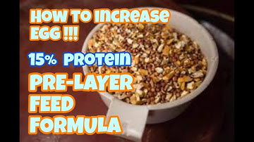 PRE-LAYING FEED || 16- 18 WEEK