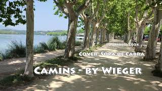 Camins - By Wieger Apperloo