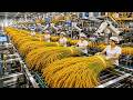 Inside a Mega Rice Factory: The Future of Automated Food Production