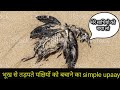 बेजुबान का दर्द😥😥हम इंसानों को बस थोड़ा समझने की जरूरत है. pura video dekhen.(part 1)