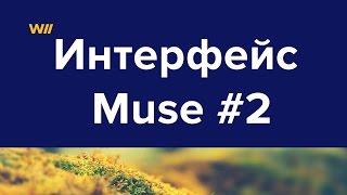 Обзор Интерфейса Adobe Muse: Дизайн, План, Превью И Публикация #2