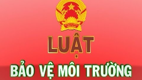 Đánh giá hiện trạng môi trường là gì năm 2024