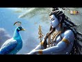SS  381 ,  THEERRA  PUTTHII