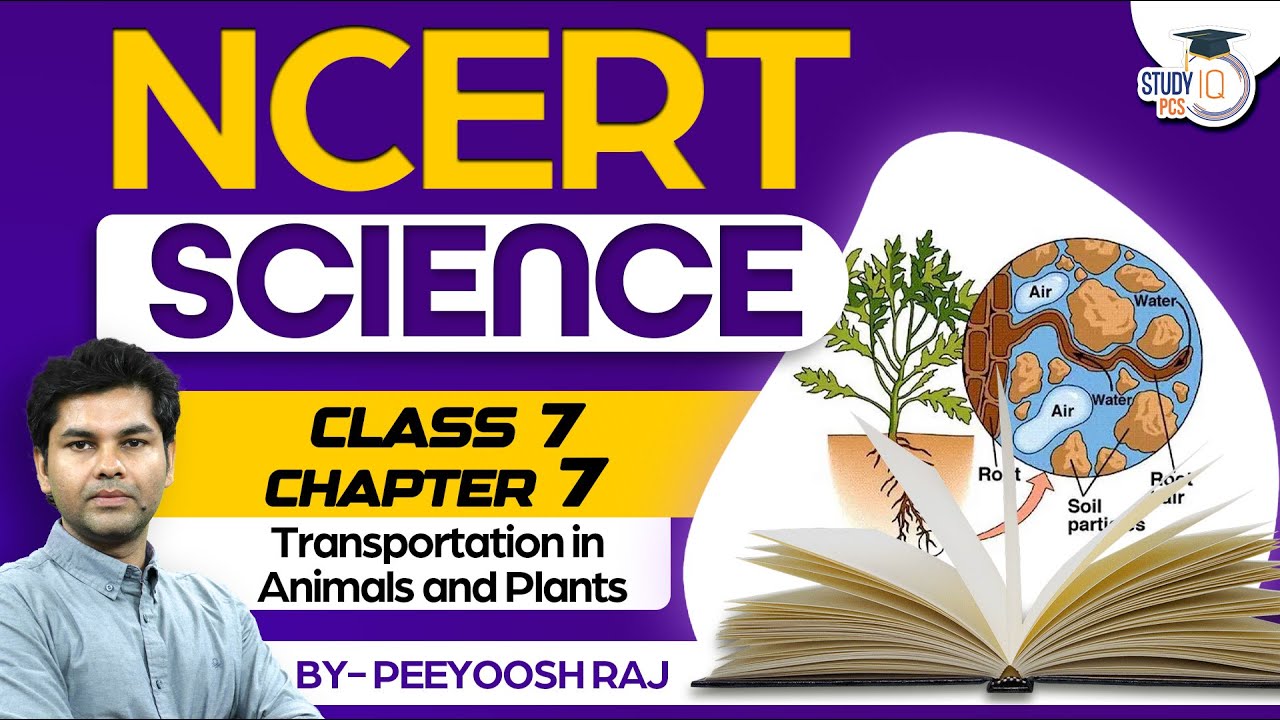NCERT Science Class 7 |Transportation in Animals & Plants| Chapter - 7 ...