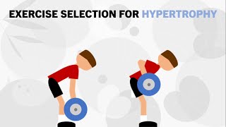 How to Select the Most Effective Hypertrophy Exercises? | Exercise Selection for Muscle Growth