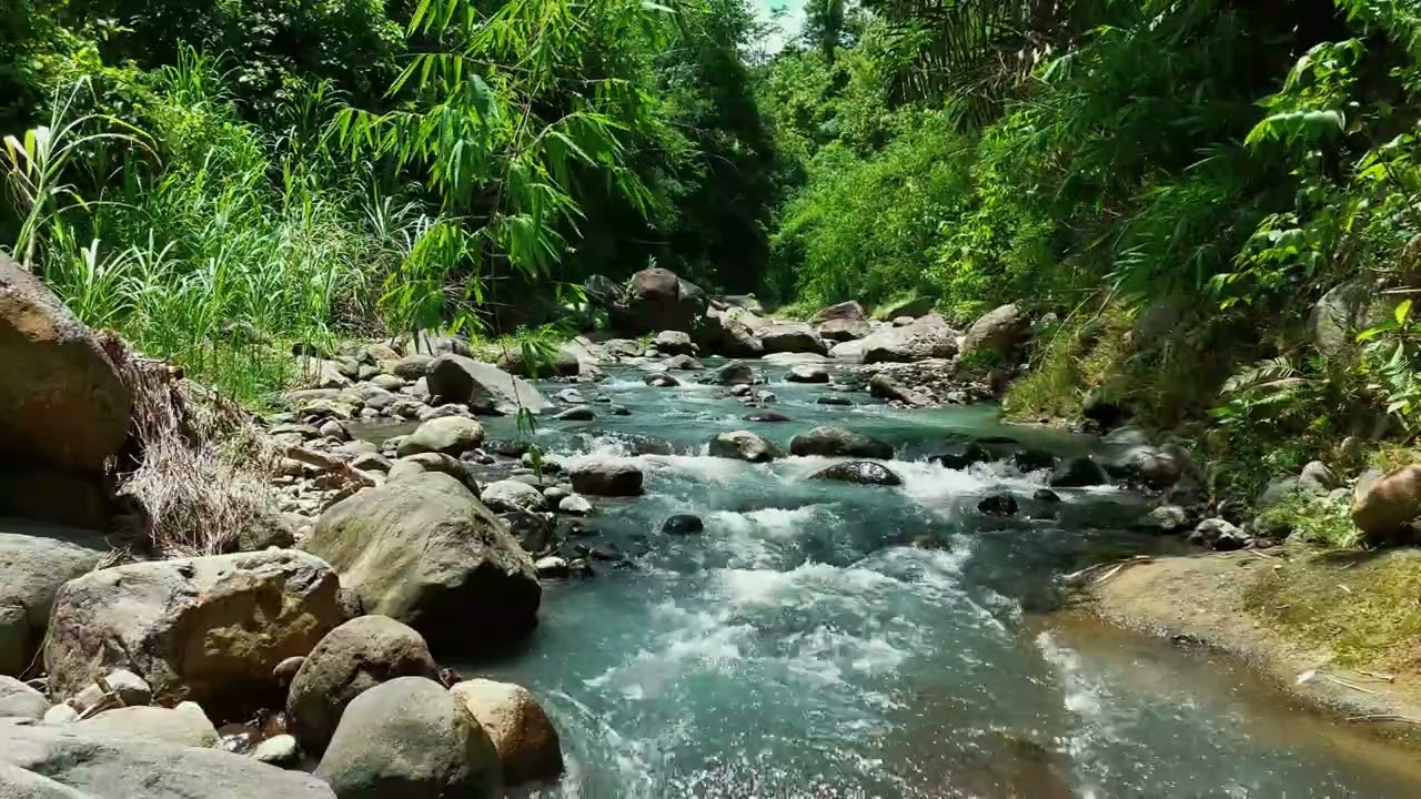 River Flow in Green Forest 🌿 Relaxing Water Sounds for Sleep & Inner Peace
