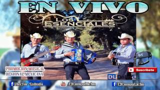 Video thumbnail of "Popurri De Cumbias - Grupo Los Esenciales [ En Vivo FP ]"