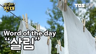 Every household chores! 🫧 "살림" | Word of the day