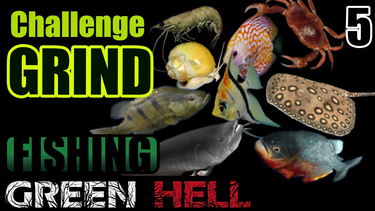 How to get the Fishing Challenge Green Hell Challenge 5 YouTube