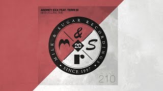 Andrey Exx feat. Terri B! - Been a Long Time (Earth n Days Remix) Resimi