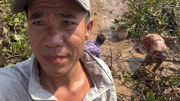 Tát mương bắt cá, toàn cá lóc khủng Long L vlogs