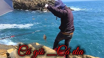 VUONG LT VLOG | Hòn cồng cộc _ Nhơn lý _ Giật cá Giò _ Dìa  cùng Anh,Em