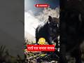 ये जानवर रातों-रात फसल खत्म कर देता है| Wild Boar Attack 😱 #wildboar #viralshort #farming