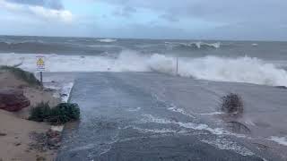 Tempête Pierrick : la marée a eu raison des sapins de la dune