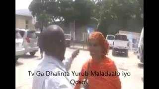 Somali Challenge Waligaa Waayeel Ma Maaweelisay Qosolkii Adduunka