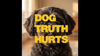 Dog Truths Nobody Talks About #DogPsychology#PetCommentary#HumanDogBond#UnderstandingDogs#DogChannel