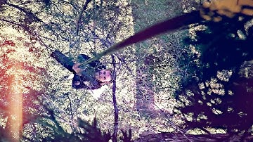 My DRONE got stuck in a Tree!