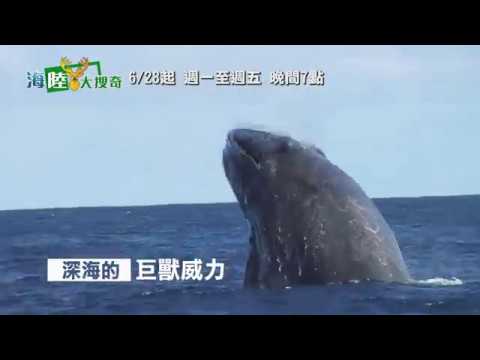 SMART知識台【海陸大搜奇】精彩預告