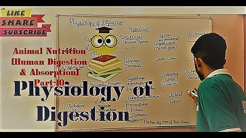 Physiology of digestion|Target #mducee2023 | lecture-64 #mducee2022 #mducee  #mdu