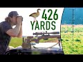 Egyptian Goose Control: Airguns & Powder-Burners