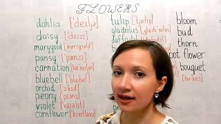 Названия цветов на английском (names of flowers) Названия цветов на английском (names of flowers)