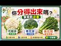 原來不一樣！3種常見十字花科蔬菜快速辨識｜蔬福生活