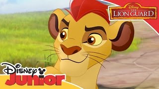 The Lion Guard - Kion Uses His Roar | Official Disney Junior Africa