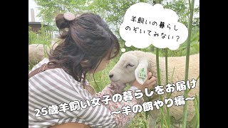 25歳羊飼い女子の暮らしをお届け～羊の餌やり編～ #動物 #ペット #女子