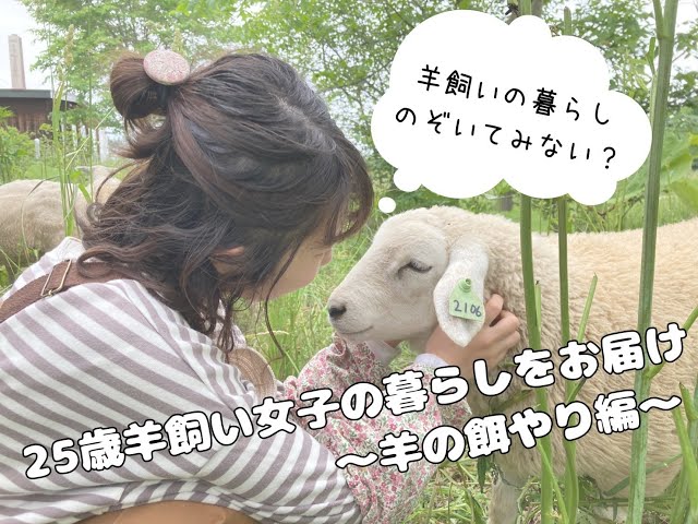 ・羊飼いの女性と３頭の羊・高さ２７cm・Ｂ＆Ｇ．・ sddefault.jpg