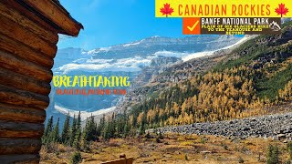 🍁Canadian Rockies🍁 - 🍂Beautiful Autumn Day Hike🍂 to the Plain of 6 Glaciers in Banff N.P #hiking