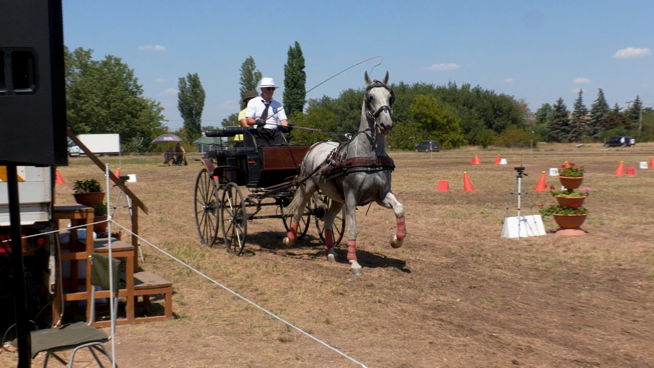 2026. augusztus 13. csütörtök