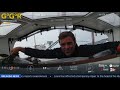 Damien Guillou LIVE at Sea! 🌊 Southern Route Gamble Pays Off | GGR 2026