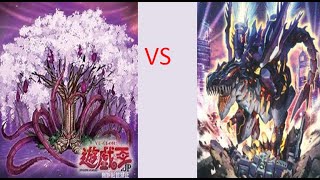 SUNAVALON RIKKA SYLVAN Vs DINOMORPHIA203SUNAVALONRIKKASYLVANDINOMORPHIAYugiohtcgyugiohDUEL