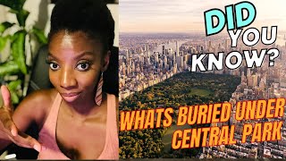 DESTORYED Uncovering Seneca Village's Tragic Fate Under Central Park(Thriving Black Community)