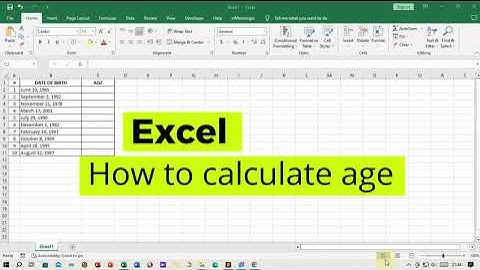 How to Calculate Age Using YEARFRAC() and INT() Functions: Excel Tutorial