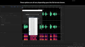 Learn Adobe Audition: 1.06 File Export