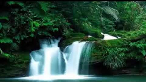 قرآن كريم بصوت جميل يريح النفس، بدون حقوق النشر