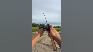 Cần lure ul dính cá to sẽ như thế nào #canlureulbanggo