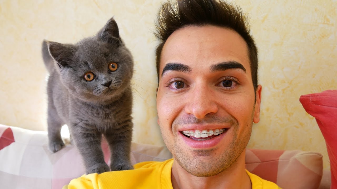 IL MIO NUOVO GATTO MAX