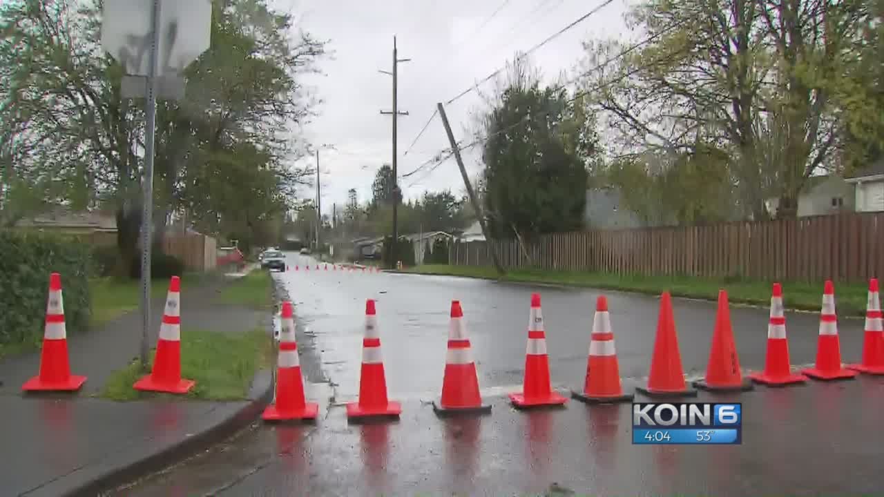 Fallen trees, down power lines impact thousands YouTube