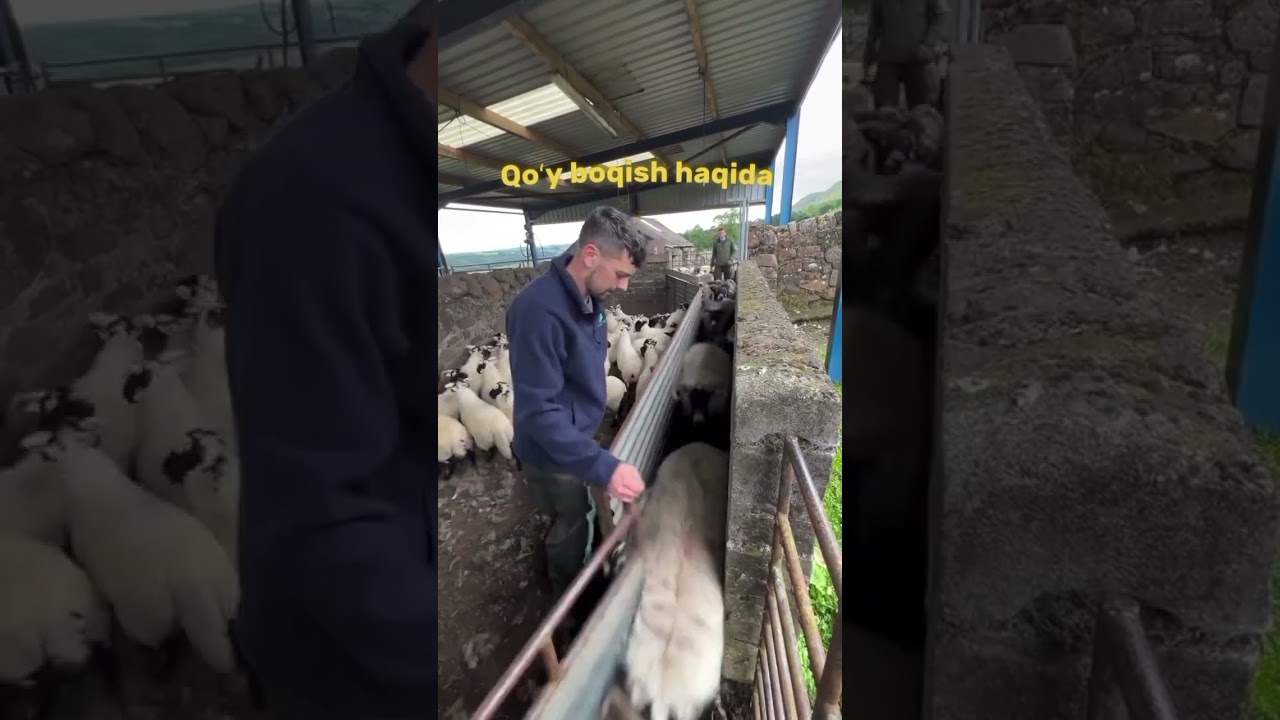 20 октября 2025 г.